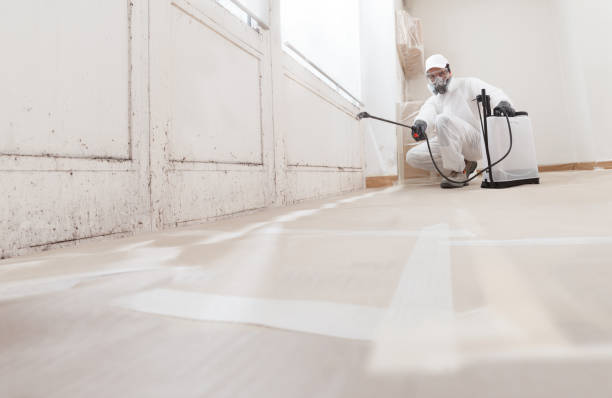 24/7 Emergency Crawl Space Mold Remediation experts in Franklin, TN