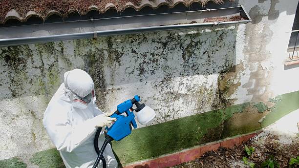 Top rated local Crawl Space Mold Remediation specialists in Franklin, TN